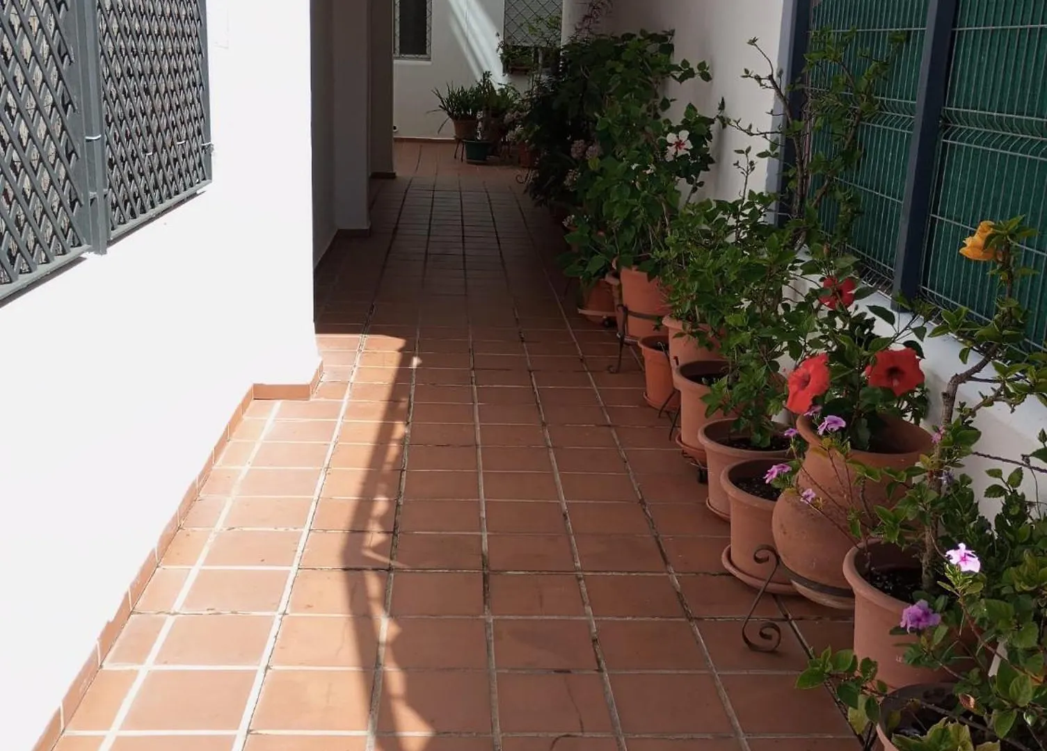 Cigueenas El Portil Spanien