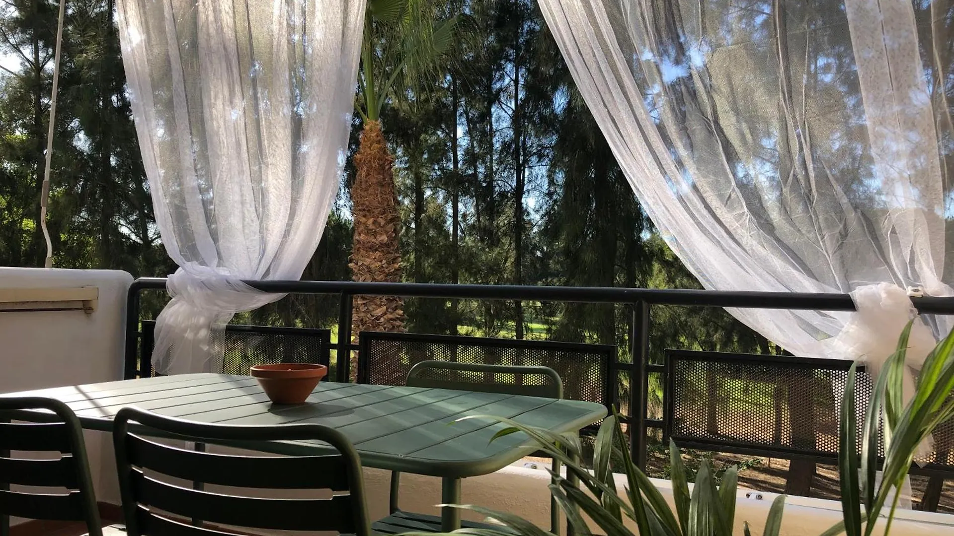 Cigueenas El Portil