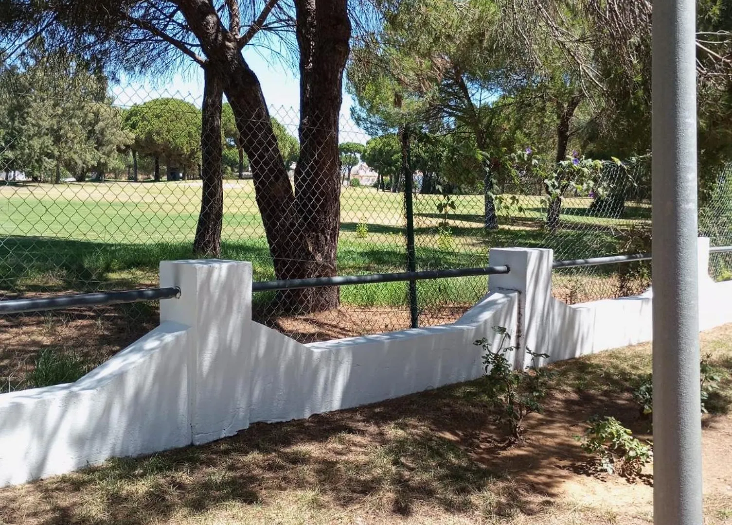 Cigueenas El Portil