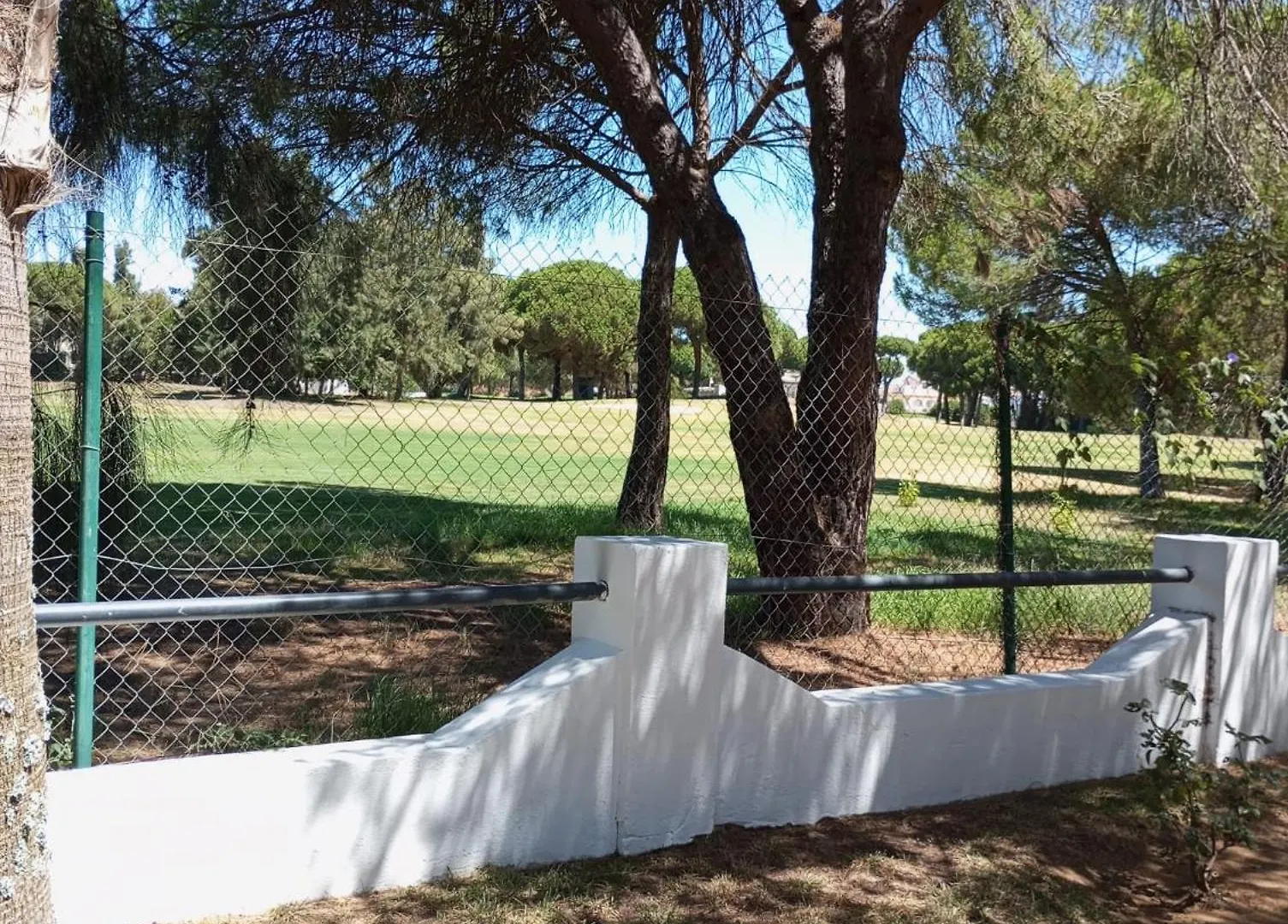 Cigueenas El Portil